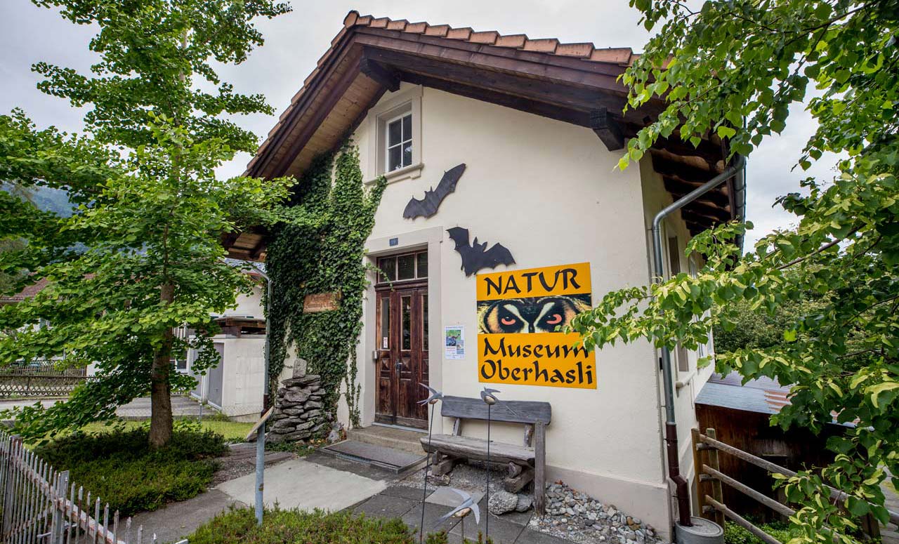 Naturmuseum Oberhasli - das Museum der besonderen Art - Meiringen im Berner Oberland - Schweiz